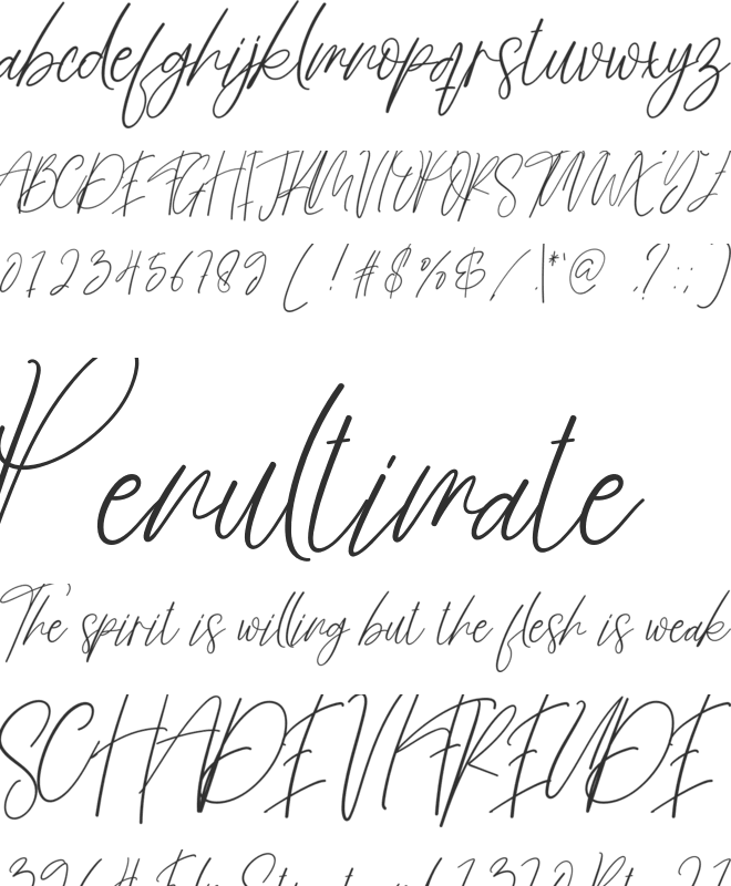 Butterfly Signature font preview