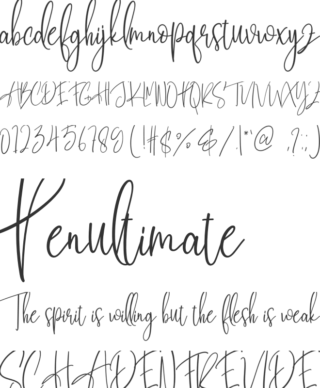 Bestie Signature font preview