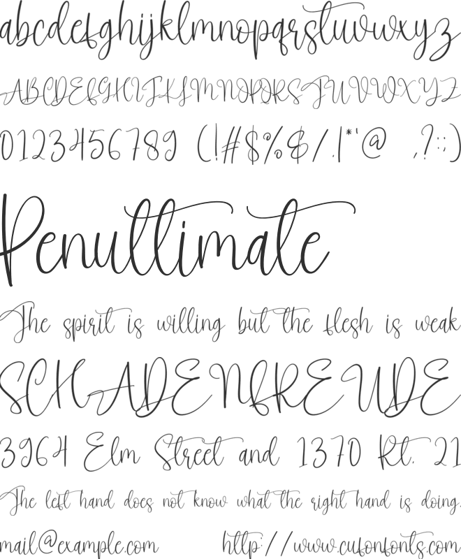 Sometime Signature font preview