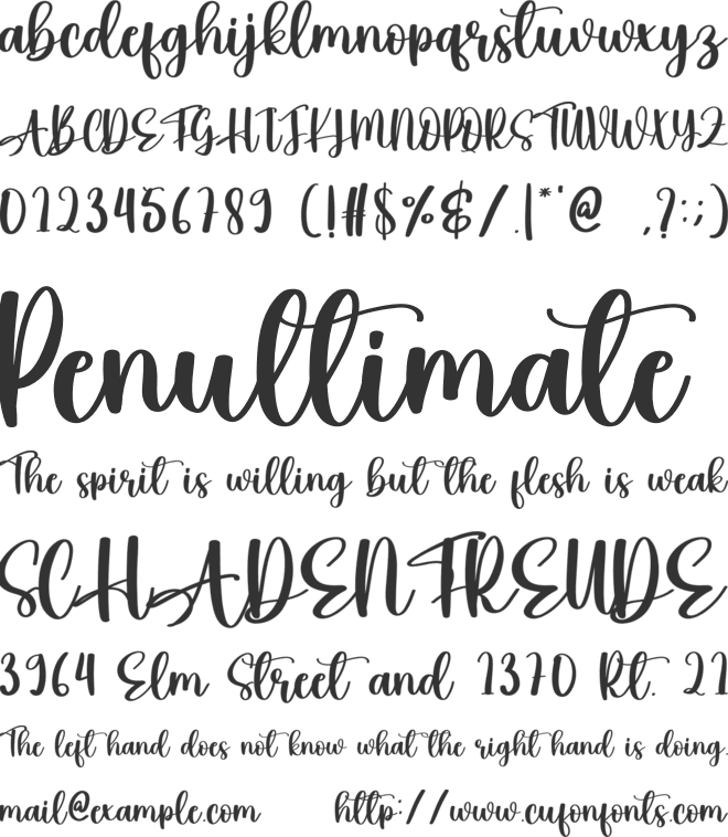 Macaroni font preview