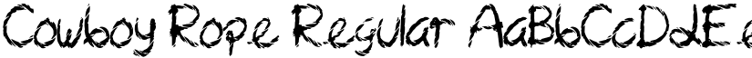 Cowboy Rope Regular font