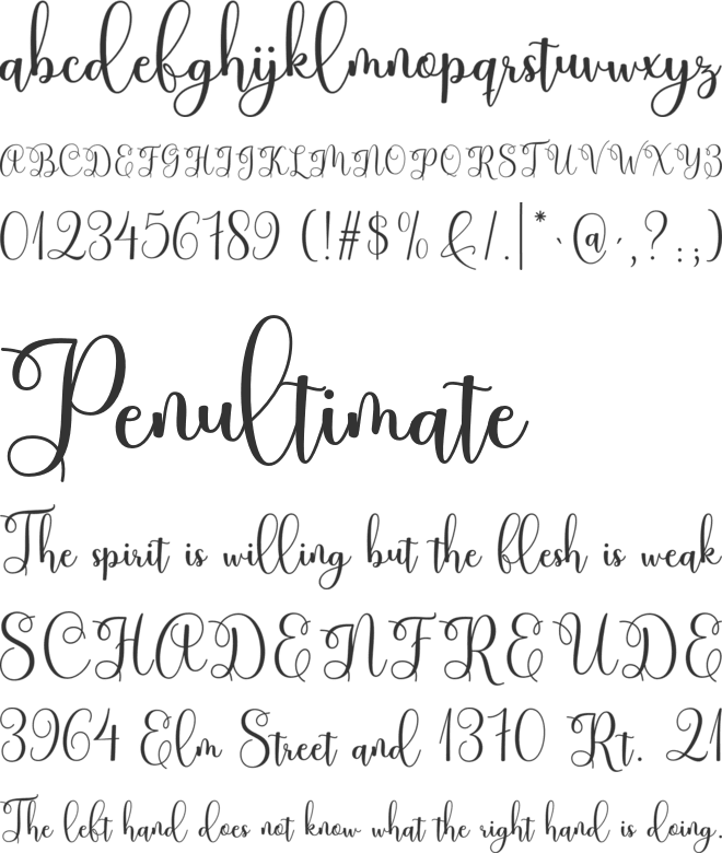 Dartisia font preview