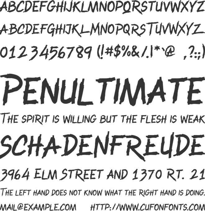 Raiden King font preview