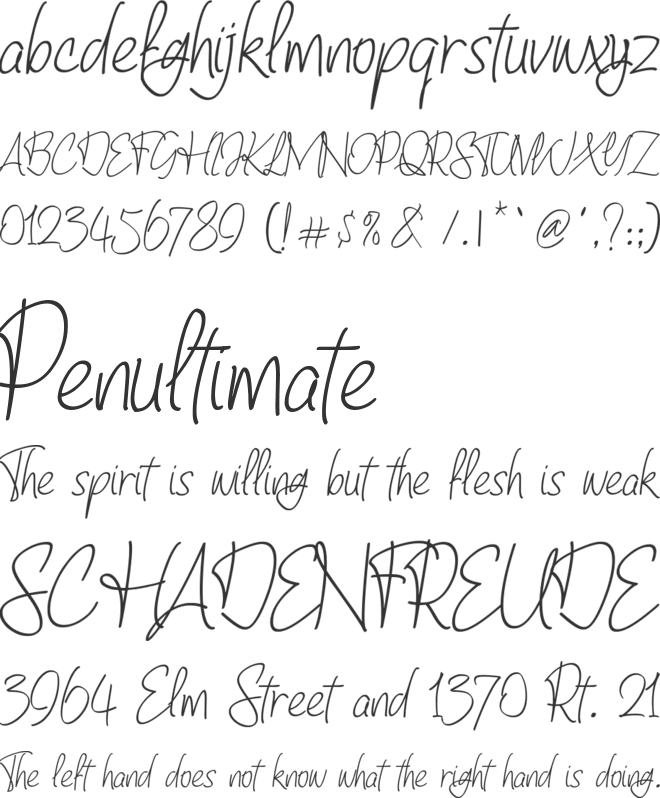 Baltigo font preview