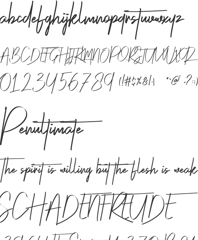 Risotto  Demo font preview