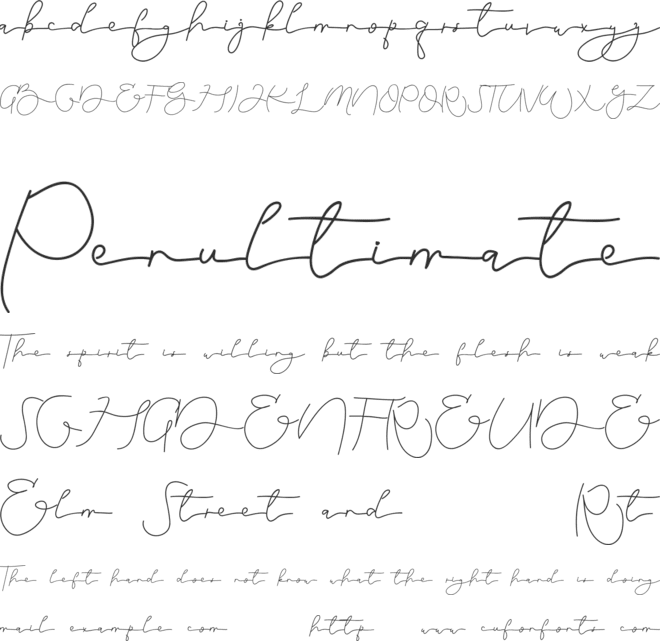 Damiola Demo font preview