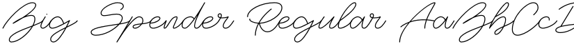 Big Spender Regular font