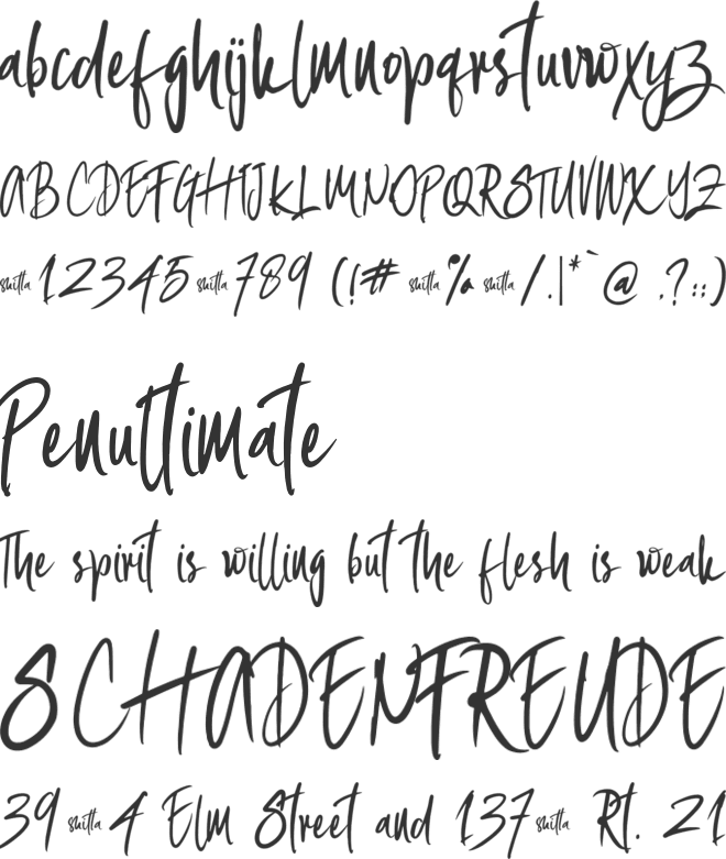 shitta demo font preview