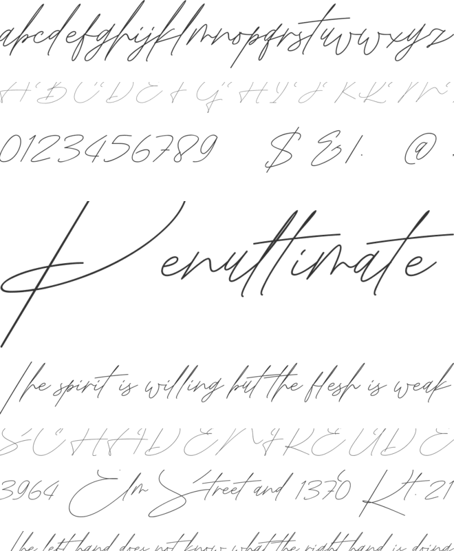 Rosebondy Demo font preview