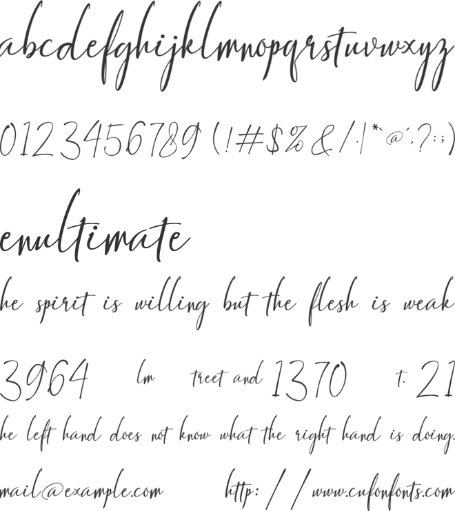 Gallant Signature font preview