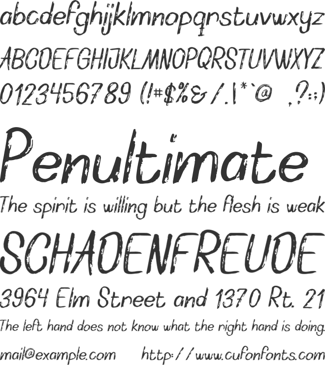 Longevity font preview