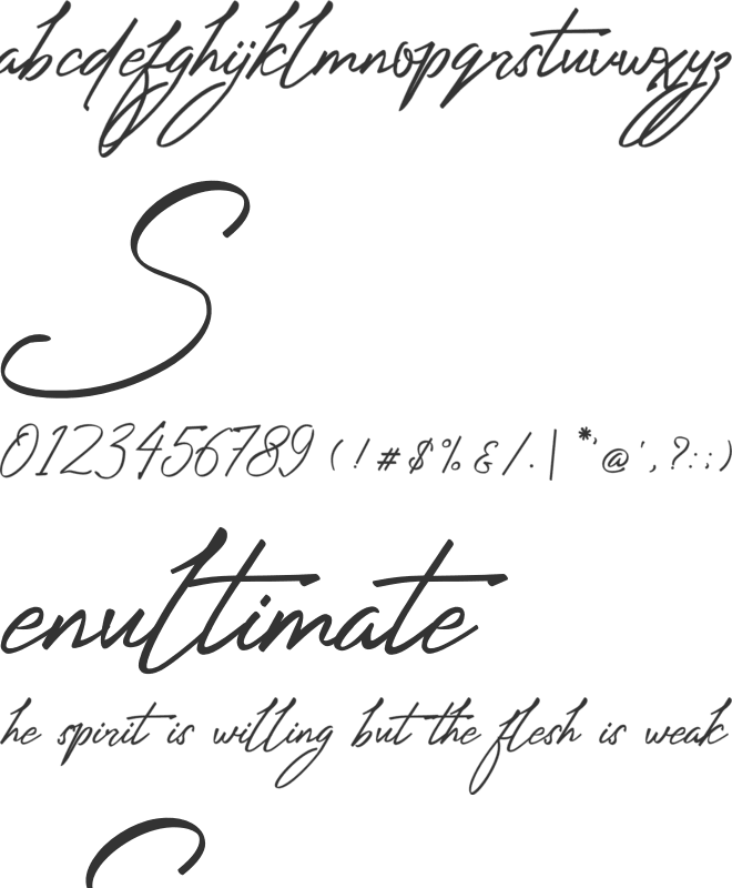 Stenley Signature font preview