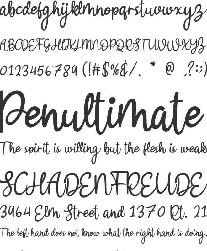 Bllodir Smart font preview