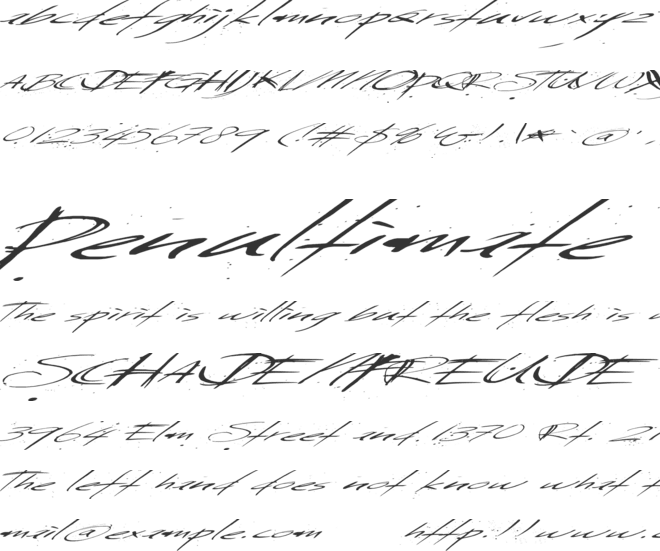 Saturday Sunday Monday font preview