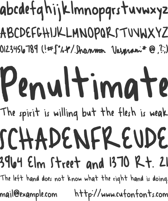 shannnn font preview
