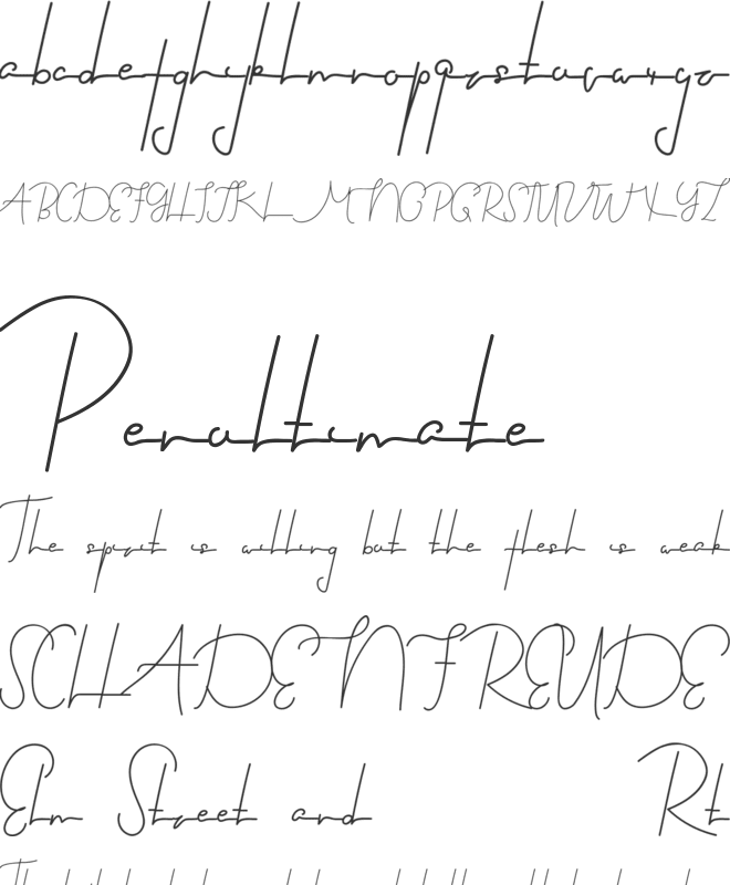 Black Suit Demo font preview