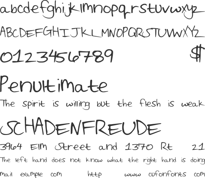 ReaganaldScript font preview