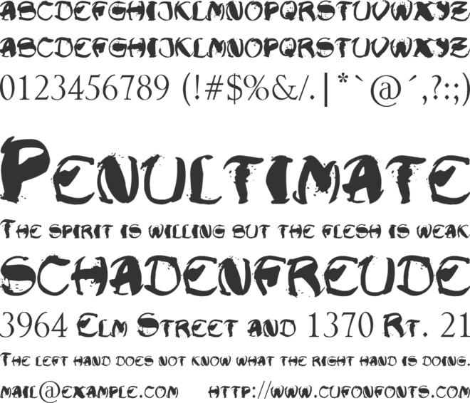 Raslani Shaashimov font preview