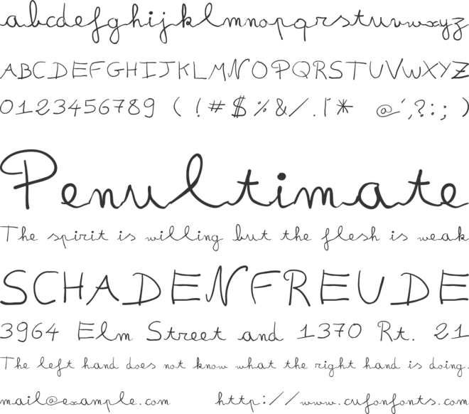 fredo manuscrite font preview