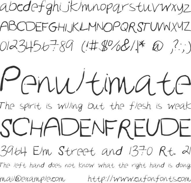 NewDay font preview