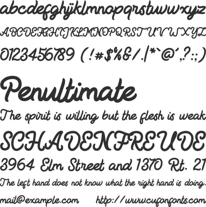 Ficked font preview