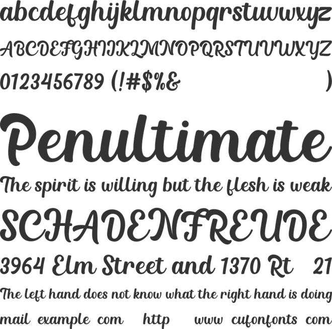 Chicken Sandwich font preview