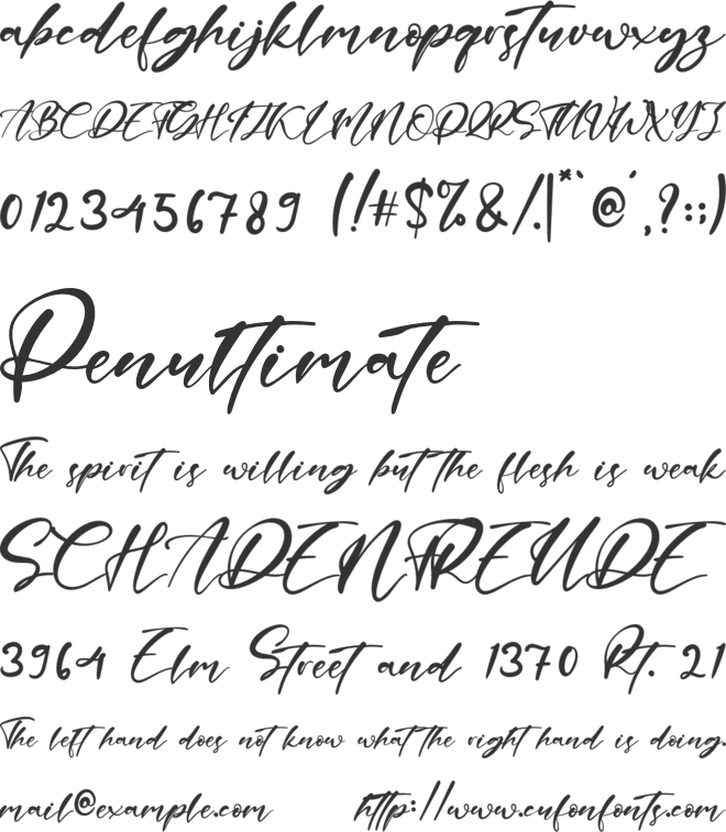 Angela Berdantte font preview