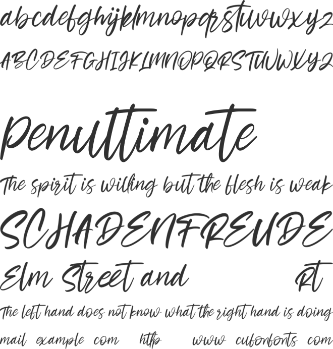Cashwoots Free font preview