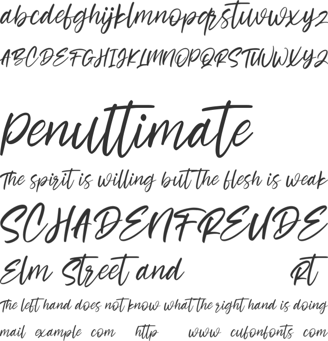 Cashwoots Free font preview