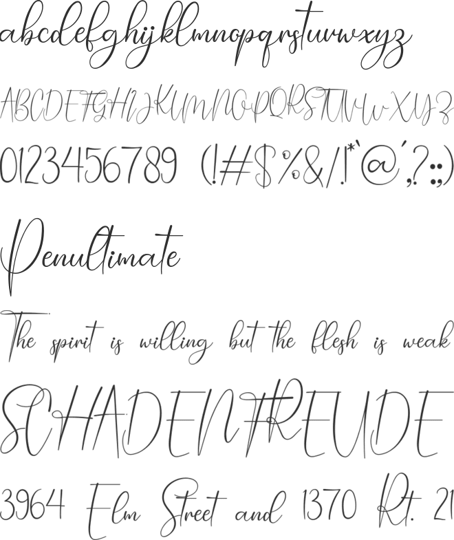 Chayla lovely font preview