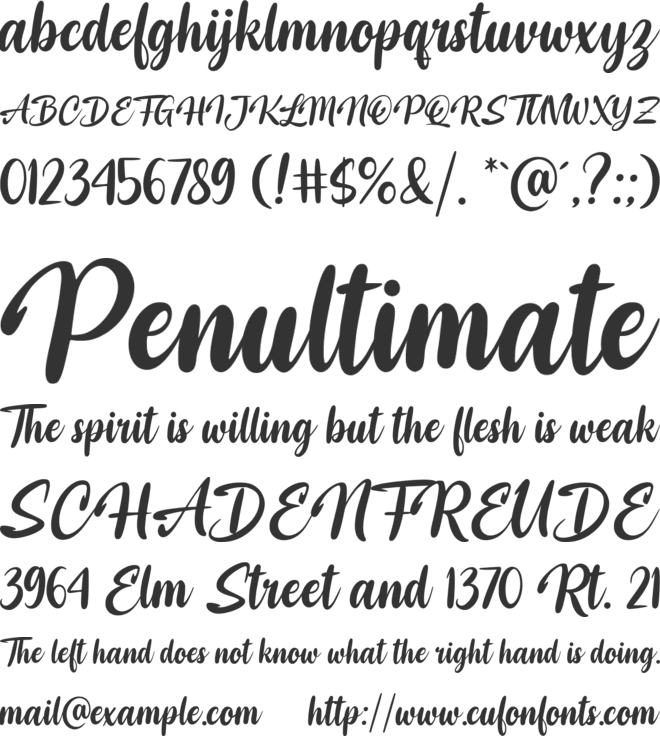 Spirit of the Beast font preview