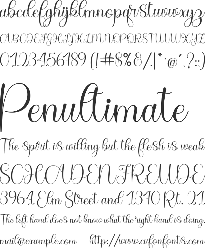 Derlina Script font preview