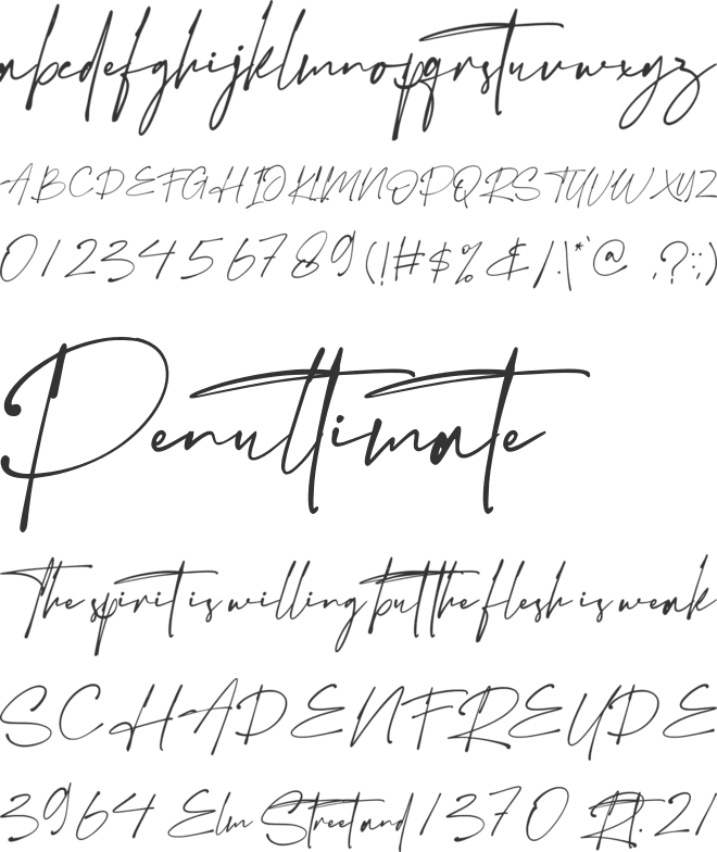 The Boston font preview