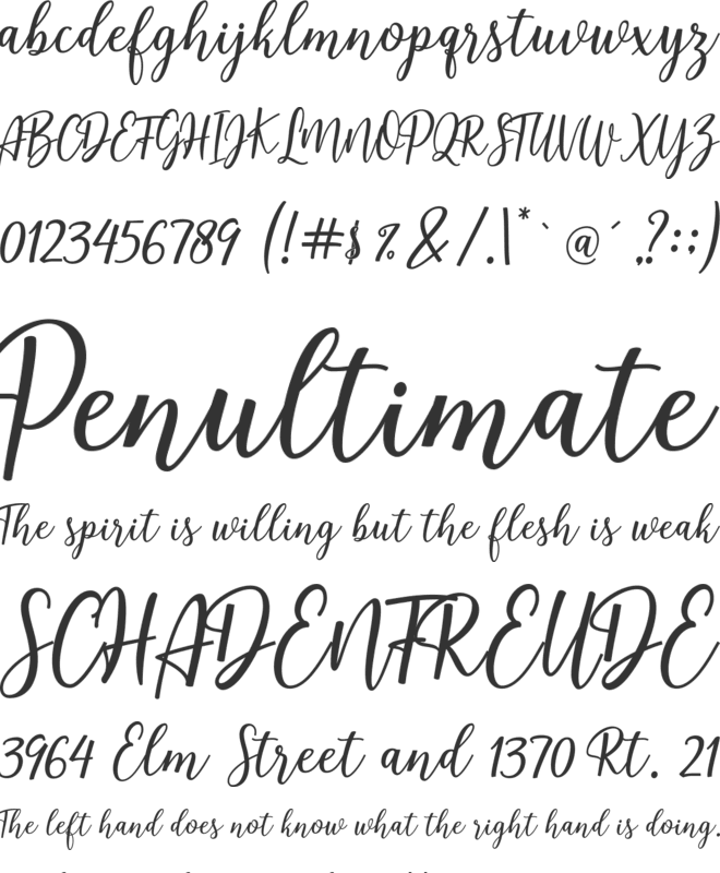 Bella Riosa font preview