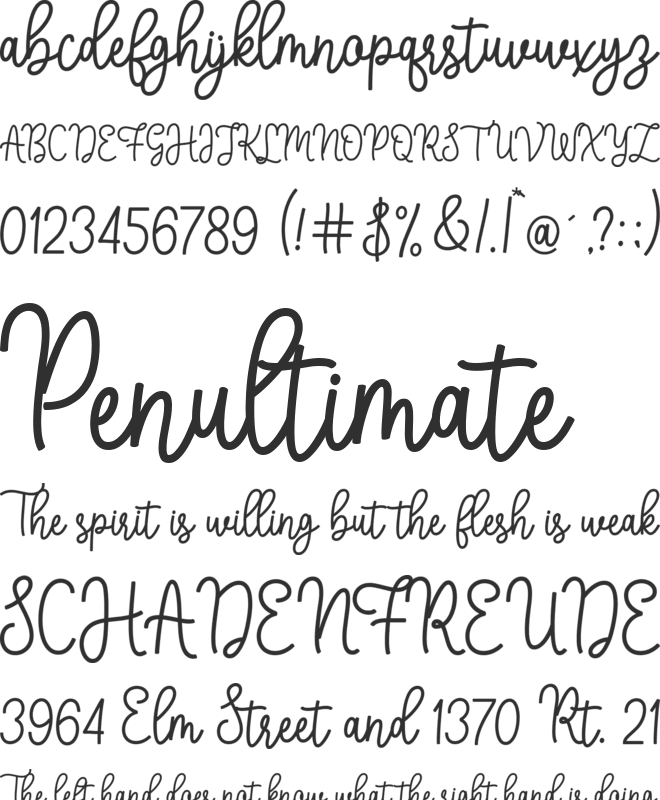 Stay line font preview
