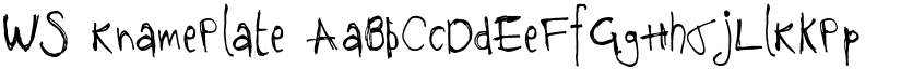 WS Kname Plate font download