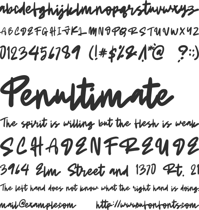 BoldestSignature font preview