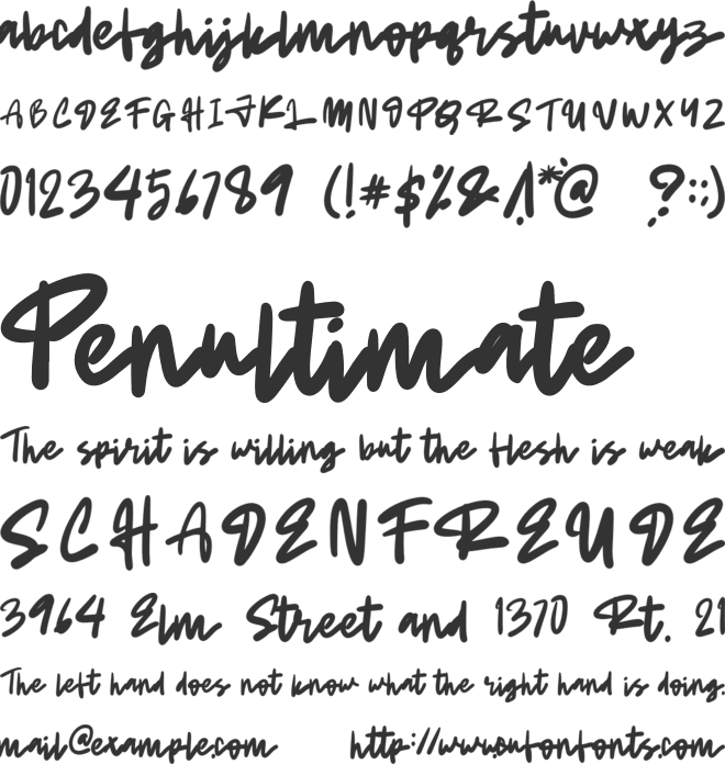 BoldestSignature font preview