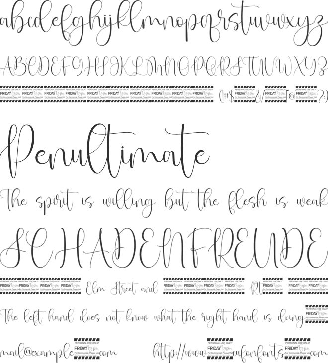 Malvyew Script Font font preview