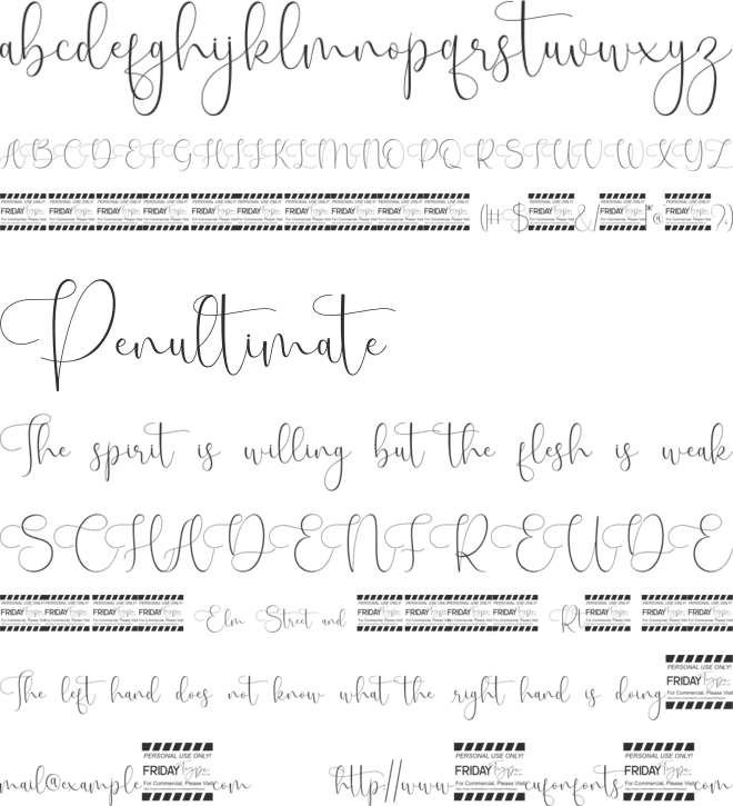 Landyon Script Font font preview