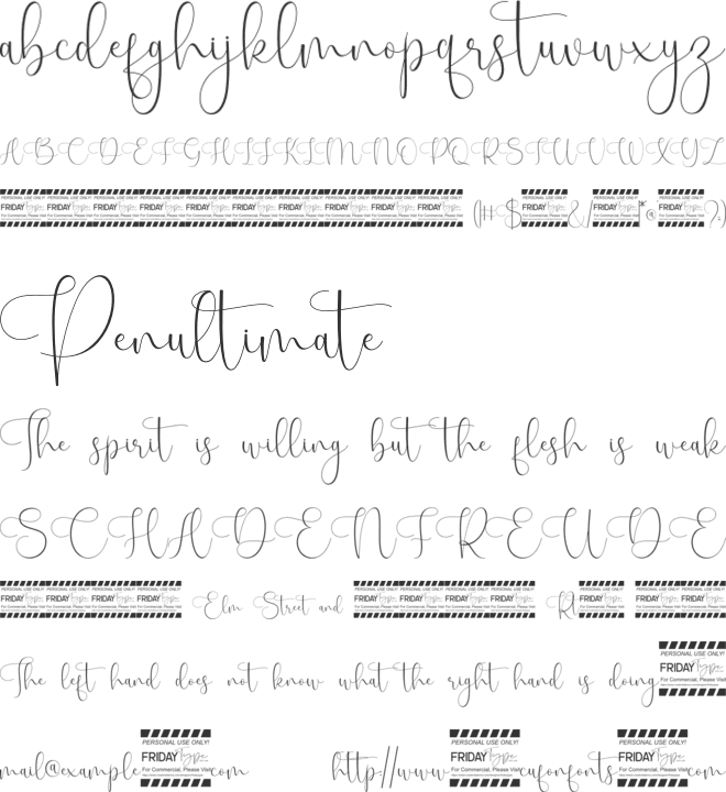 Landyon Script Font font preview