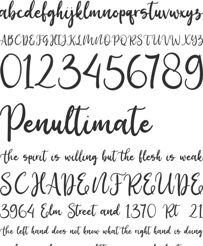 Birdy Home font preview