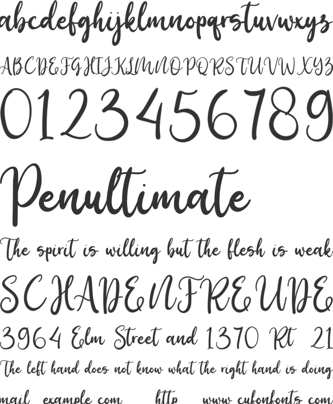 Birdy Home font preview