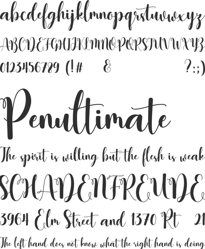 Gisella Anistasy font preview