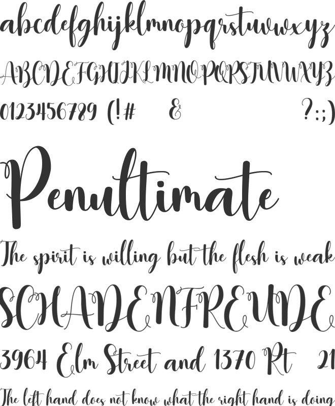 Gisella Anistasy font preview
