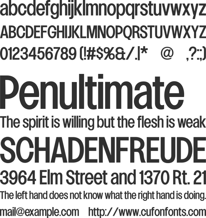 Lowball Neue font preview