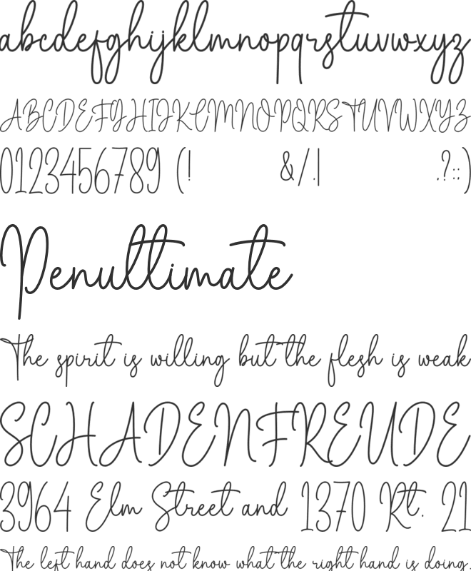 Marselin Signature font preview