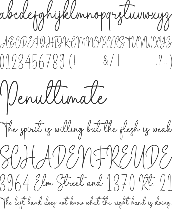 Marselin Signature font preview
