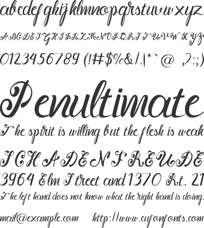 Murisa Lauren font preview