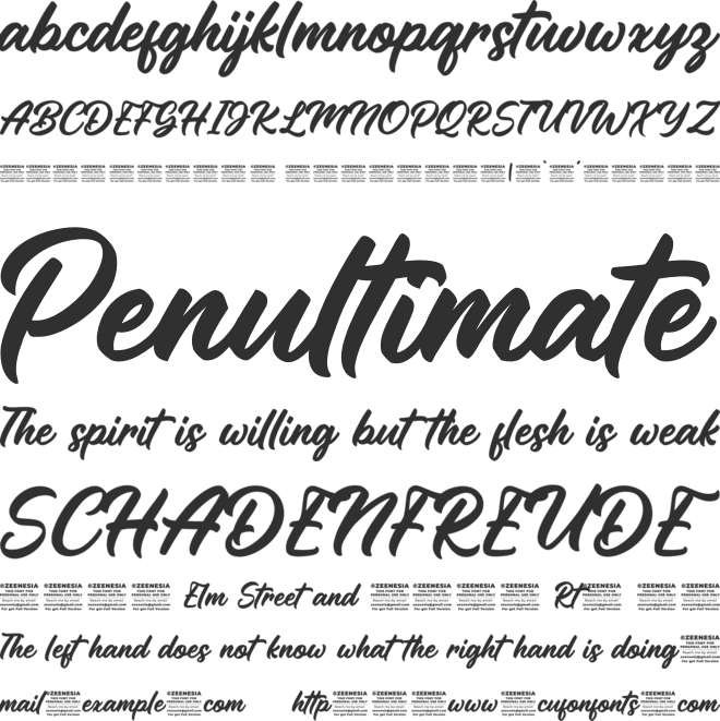 Panther Hunter Personal Use Onl font preview